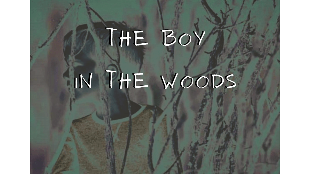 The Boy in the&nbsp;Woods